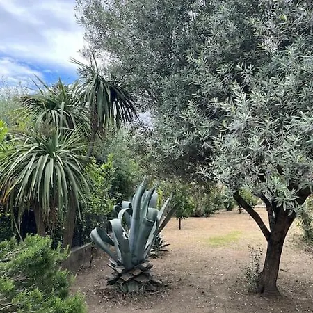 Maison De Village Vintage Avec Grand Jardin